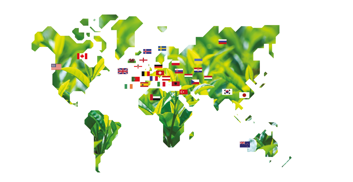 World map made of tea leaves with the flags of the countries where Èleva is trademarked